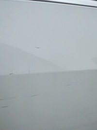 фото thumb №12, Двері лівий зад opel insignia a sedan z40 комплект планка білий кузов