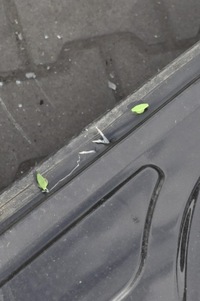 фото thumb №10, Ford puma ii mk2 блок двигателя порог левый