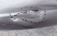 фото thumb №10, Бампер перед передний mercedes a-klasa w177 a1778853600