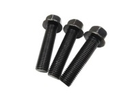 фото thumb №1, Болти кріплення насоса wsp pride 99-00 k997961040b