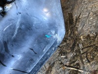 фото thumb №13, Бампер передній bmw x5 e53 lift pdc ксенон