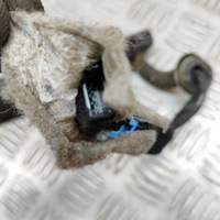 фото thumb №6, Bmw 2 f45 2018 права сторона амортизатор кришки задній багажника