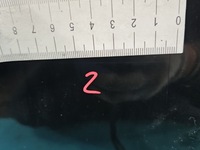 фото thumb №4, Дверь перед левая renault fluence чёрный