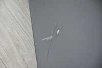 фото thumb №4, Капот крышка двигателя audi a6 c6