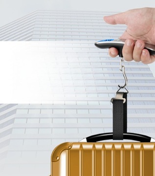 Electronic Scale 50kg Portable Handheld