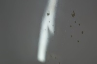 фото thumb №15, Nissan nv200 двері лівий перед d1772