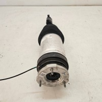 фото thumb №13, Амортизатор пневматичний tesla model x plaid 2022r 1620467-99-b