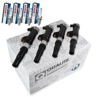 фото thumb №1, 4x катушка зажигания + свечи зажигания renault megane ii scenic ii 1.4 1.6 2.0 16v