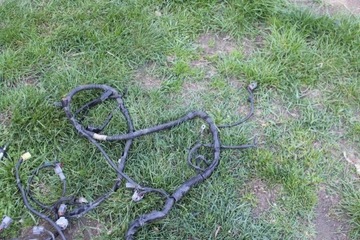 фото thumb №5, Коробка предохранителей установка жгут subaru impreza ii gd 05-07 2.0r