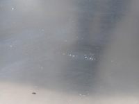 фото thumb №9, Новая оригинальная капот крышка двигателя dacia lodgy js доккер 2012-