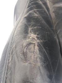 фото thumb №11, 2006 bmw x5 e53 повний салон 712124905