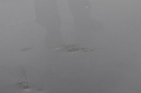 фото thumb №6, Ford grand c-max ii дверь левый задняя задние