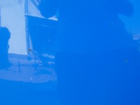 фото thumb №11, Капот решётка радиатора петли skoda fabia 1 i europa