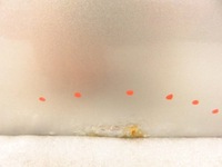 фото thumb №6, Дверь правое задние renault trafic ii cmg64