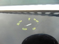 фото thumb №6, Дверь левый задняя citroen c4 ii чёрные ktv