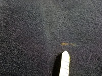 фото thumb №11, Audi q4 e-tron обивка ковёр пол eu 5lb863021b