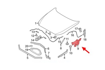 фото thumb №12, Петля кришки капота лівий bmw 1 f21 f21n 2011-2019