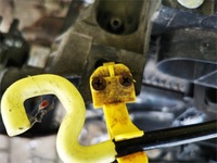 фото thumb №9, Ford ecosport 1.5 tdci pas передний kompletny демонтаж