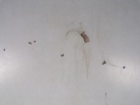 Honda crx del sol капот передня Недорого, фото thumb