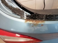 фото thumb №2, Hyundai i30 ii 12-16r крышка багажника задняя kombi xaf