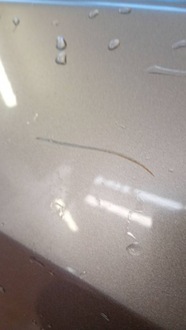 фото thumb №7, Toyota corolla e16 e18 sedan 13-19 дверь правый задняя задние правое kol 4v8 c505