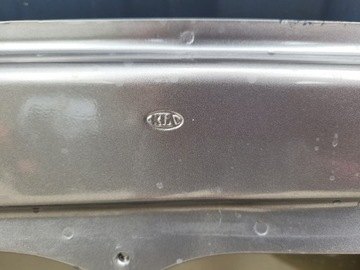 фото thumb №13, Двері праві передні правий перед kia sorento 3 iii 14-20 760042p010