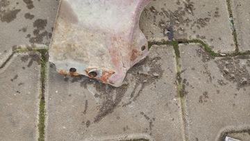 фото thumb №15, Крыло левый перед citroen c3 02r hb