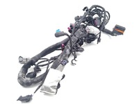 фото thumb №9, Vw polo джгут провід двигуна 1.0 tsi бензин 81kw 110 hp 05c972627d