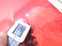 фото thumb №10, Двері правий перед z50b opel insignia a