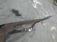 фото thumb №9, Skoda octavia i 1 lift hb бампер задняя задний / 2732