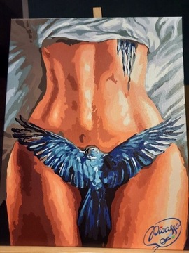 Malowanie po numerach iPicasso 40x50 cm na ramie