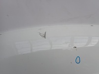 фото thumb №12, Fiat doblo ii 2 рестайлинг 15- капот крышка двигателя