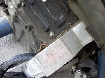 фото thumb №5, Двигун l12a4 honda jazz 1.2b