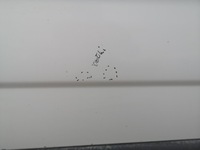 фото thumb №8, Двері зсувні ліві лівий bok opel vivaro a renault trafic ii рестайлінг 06-14