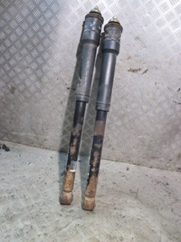 фото thumb №1, Амортизатор задній задня smart forfour i