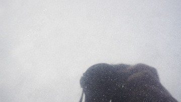 фото thumb №5, Volvo v50 капот передня s40 ii 452-46