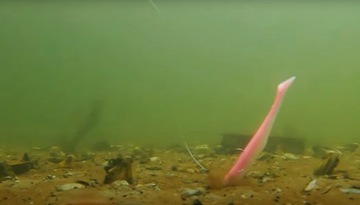 Savage Gear Slender Scoop Shad 13 см LEMON BACK