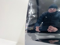 фото thumb №12, Дверь левая левый перед tesla 3