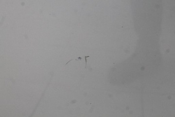 фото thumb №7, Renault scenic iii 09r- капот крышка двигателя ted69