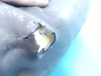 Захист насоса кондиціонера tesla model s 12-16 Зі Шроту, фото thumb