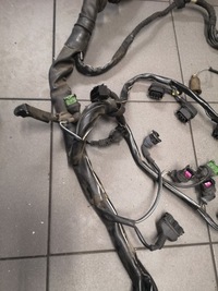 фото thumb №11, Жгут двигателя audi a8 d2 3.7 przed fl 4d1971713am