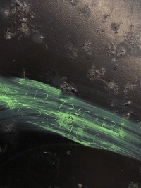 фото thumb №9, Bmw оригинальный номер 7240912 балка бампера заднего