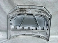 фото thumb №10, Капот seat exeo кришка передня 2008