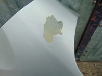 фото thumb №9, Крила правий перед boxer ducato jumper iii 2008-