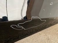 фото thumb №13, Tesla y двері праве передні