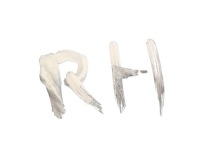 Защита диск тормозной передней правая сторона maserati ghibli с Разборки, фото thumb