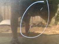 фото thumb №10, Peugeot 3008 i lift 16r капот