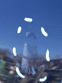 фото thumb №8, Двері лівий перед nissan juke i f15 lift z11g