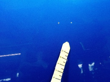 фото thumb №6, Mazda premacy i cp двері перед ліві передні 24a