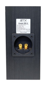Колонки с эффектами STX Quant 300 E, черные динамики